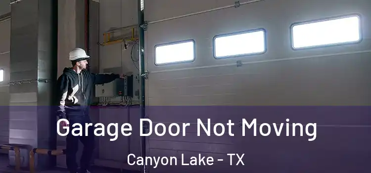  Garage Door Not Moving Canyon Lake - TX