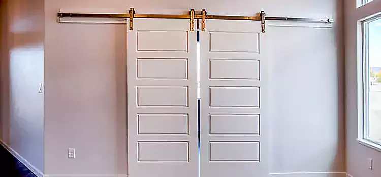 Glass Barn Door with Installation Hardware Kit Canyon Lake