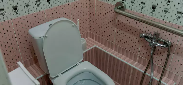 Meeting Diverse Needs With Accessible Restroom Solutions in Canyon Lake, TX
